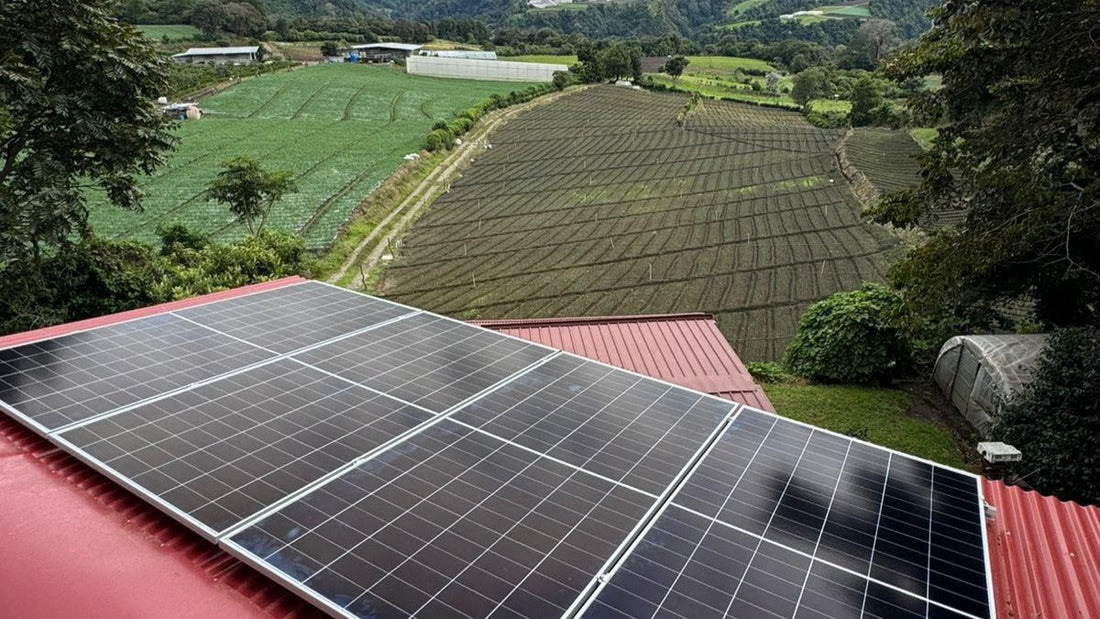 LONGi Hi-MO X10: el panel solar HPBC más avanzado en estética y eficiencia